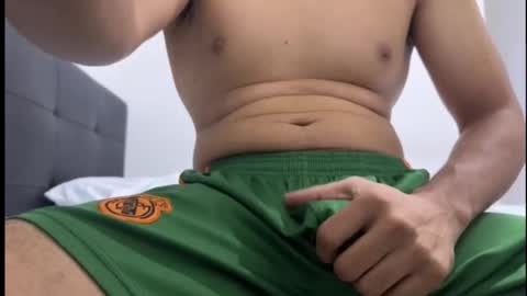 lion_20cm online show from November 2025 12:42:02 AM