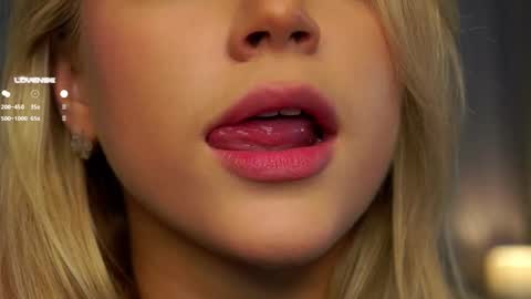 Snapshot of lipswithsmileonthem chatting on February 2025 01:05:02 AM Amelia online show from February 2025 01:05:02 AM