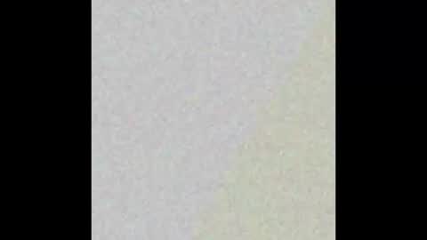 liquid_sky_ online show from September 2025 10:20:01 AM