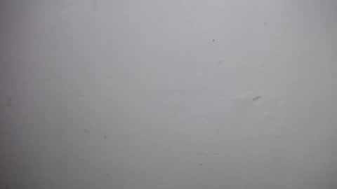 Snapshot of lisa_branch chatting on December 2025 10:54:01 AM lisa_branch online show from December 2025 10:54:01 AM