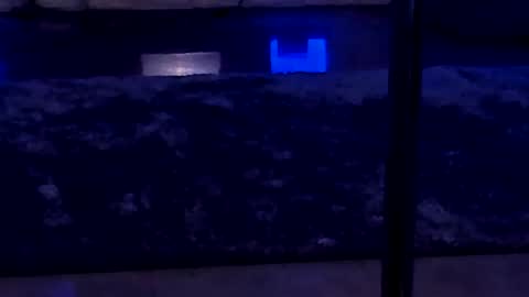 lisa_elfy online show from January 2025 03:45:01 PM