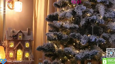 Snapshot of lissa_meooow chatting on January 2025 09:22:02 AM your Liza again. Next stream Dec. 1 at 2 or 3 GMT online show from January 2025 09:22:02 AM