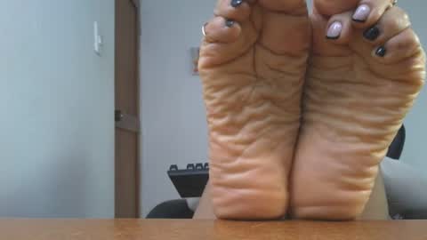 Lissafeethot online show from November 2025 08:52:01 PM