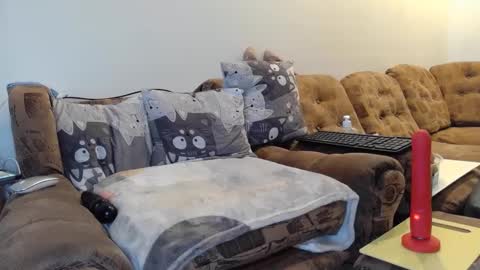 litisialove455 online show from January 2025 09:27:01 AM