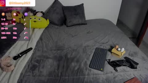 little__ammy online show from February 2026 12:49:01 AM