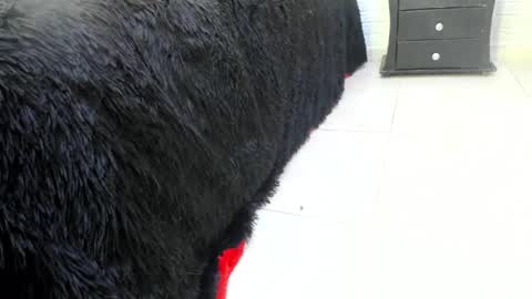 Misstress Martina  online show from February 2025 10:14:02 PM