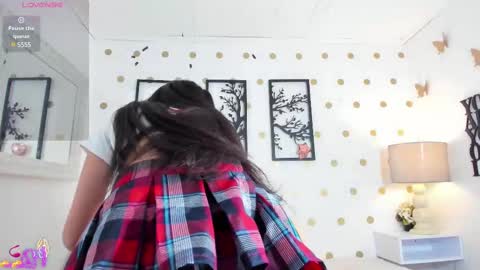 Snapshot of littlearii chatting on February 2025 07:16:02 PM Ari online show from February 2025 07:16:02 PM