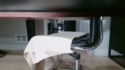 Snapshot of littleclitty247 chatting on December 2024 10:38:02 AM Littlleclitty247 online show from December 2024 10:38:02 AM