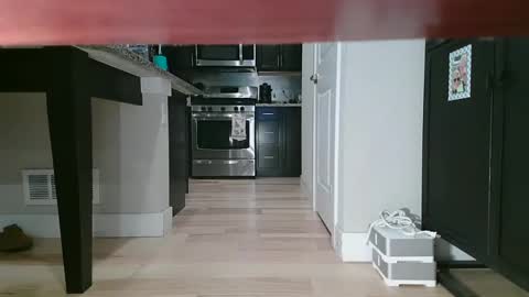 Snapshot of littleclitty247 chatting on September 2025 09:48:02 PM Littlleclitty247 online show from September 2025 09:48:02 PM