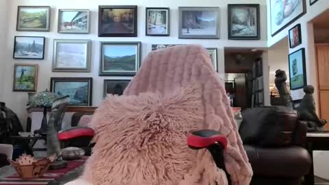 Miss D   Shows Mon Wed  Fri online show from May 2026 06:36:02 PM