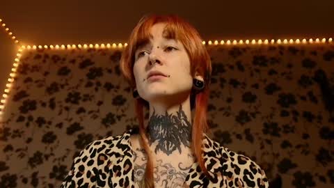 Snapshot of littlespacemouse chatting on February 2025 03:49:01 PM Niki free tg channel with some photos gifs and info about streams online show from February 2025 03:49:01 PM