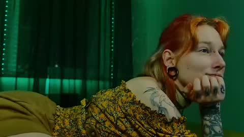 Snapshot of littlespacemouse chatting on February 2025 05:53:01 PM Niki free tg channel with some photos gifs and info about streams online show from February 2025 05:53:01 PM