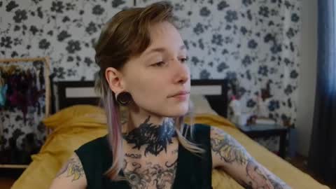 Snapshot of littlespacemouse chatting on October 2025 09:42:02 AM Niki free tg channel with some photos gifs and info about streams online show from October 2025 09:42:02 AM