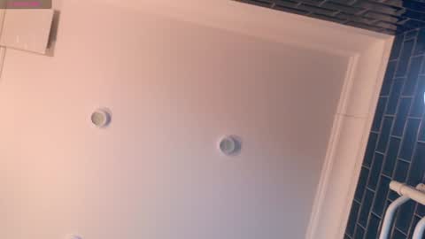 Snapshot of liv_fay chatting on December 2024 02:37:01 PM Liv 3 online show from December 2024 02:37:01 PM