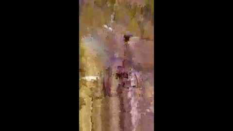 livingdata011010 online show from May 2026 01:34:01 AM