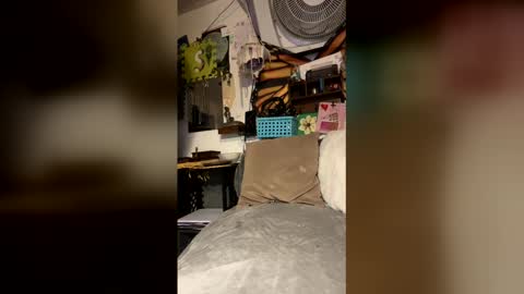 livpiper online show from April 2026 05:41:02 PM