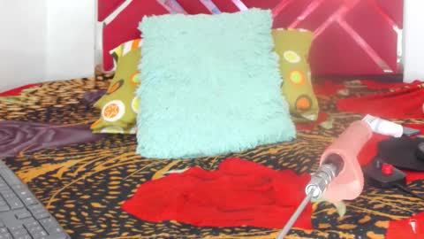 loaisisAdamss online show from February 2026 02:23:01 AM