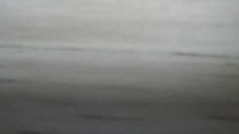 lockedpeepee online show from January 2025 08:18:02 PM