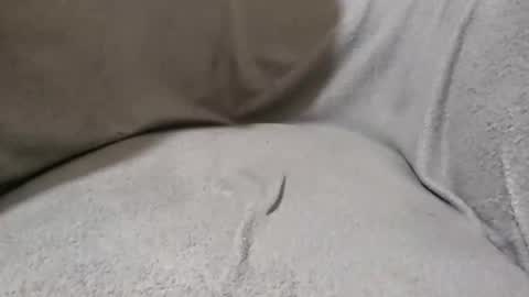 Snapshot of lokoloko22 chatting on November 2025 05:37:01 PM Lokoloko22 online show from November 2025 05:37:01 PM