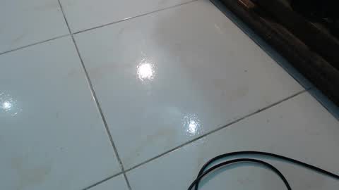 lola_foox online show from November 2025 11:25:02 PM