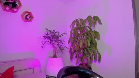 Lola online show from July 2026 10:34:01 PM