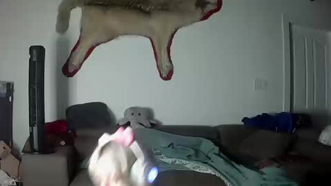 Lola Lixx online show from October 2025 09:56:02 AM