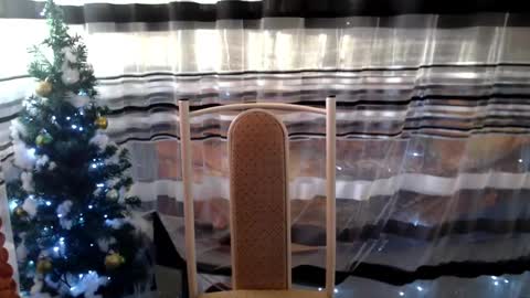 Lisa online show from January 2025 12:05:02 PM