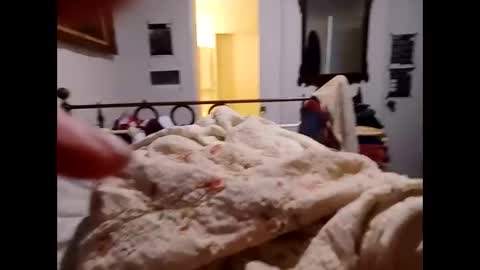 longarchrrr online show from October 2025 11:33:02 AM