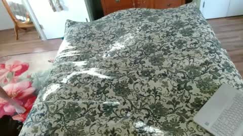 Snapshot of longbowrider555 chatting on January 2025 08:21:01 PM Jeff online show from January 2025 08:21:01 PM