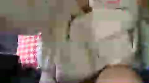 Cutenurse91 online show from July 2026 03:08:01 PM