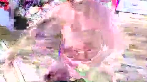 Snapshot of look4fun316 chatting on November 2025 01:48:02 AM look4fun316 online show from November 2025 01:48:02 AM