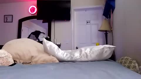 lookatmecum4you online show from January 2025 11:32:02 AM