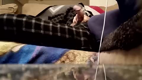 looking4bush online show from March 2026 01:09:02 AM