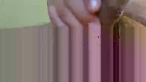 Snapshot of lopezpedro2791 chatting on February 2026 05:35:01 AM 2791 3D online show from February 2026 05:35:01 AM