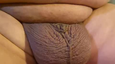 2791 3D online show from April 2026 10:27:01 PM