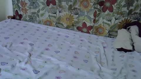 Snapshot of lora_amor chatting on April 2026 09:26:02 AM lora_amor online show from April 2026 09:26:02 AM