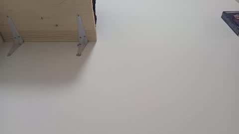 Lora online show from January 2025 01:41:02 PM