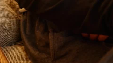 lostinspaxe online show from November 2025 05:26:01 PM