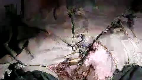 loudiamondmushroom online show from June 2026 02:38:01 AM
