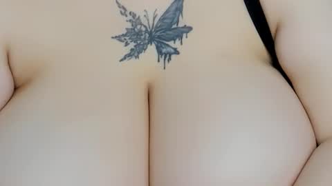 Sailor online show from February 2026 08:21:01 AM