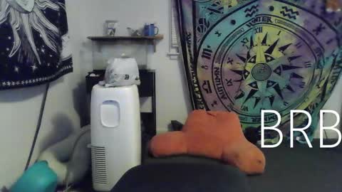 Bigtitsgirl113 online show from January 2025 12:46:01 AM