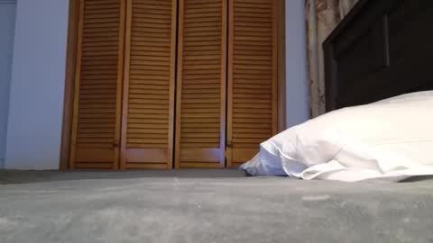 Snapshot of lovelace390 chatting on January 2026 02:58:02 AM Amber online show from January 2026 02:58:02 AM