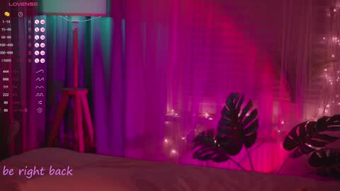 Nelly online show from January 2025 04:59:02 PM