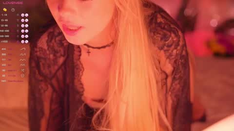 Nelly online show from February 2025 04:59:02 PM