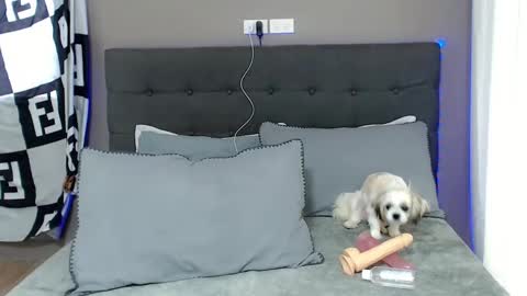 Snapshot of lovely_jastine chatting on December 2024 01:58:01 AM Jastine online show from December 2024 01:58:01 AM