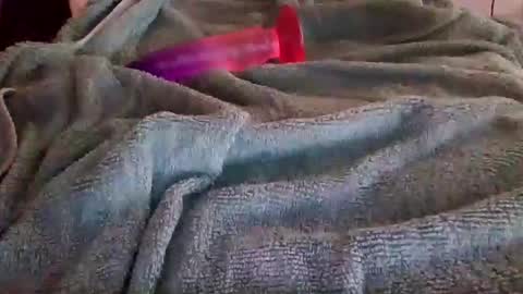 Snapshot of lovelydadbod chatting on February 2026 05:56:01 PM Lovelydadbod online show from February 2026 05:56:01 PM