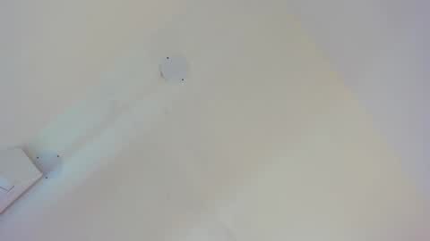 L O V E  online show from February 2026 11:31:02 AM