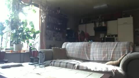 aaron online show from October 2025 10:27:02 AM