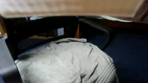 lovetolick272988 online show from October 2025 02:34:01 AM