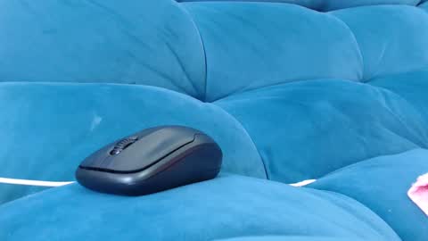 cutelucy 3 online show from December 2024 07:24:02 PM